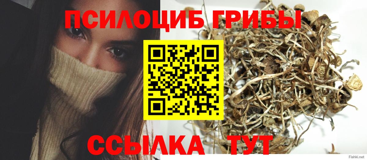 Галлюциногенные грибы прущие грибы Армавир