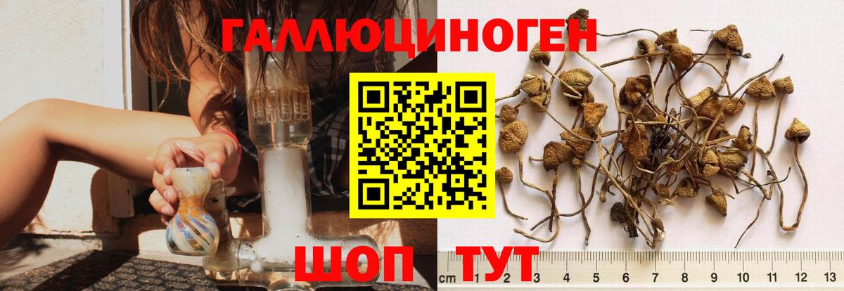 что такое   Галлюциногенные грибы MAGIC MUSHROOMS  Вход с VPN  Армавир 