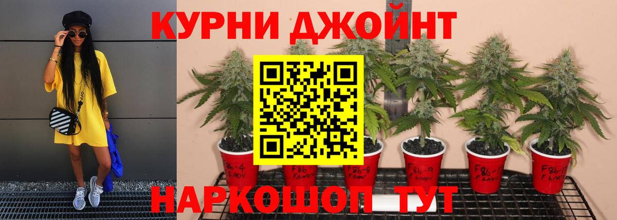 Армавир  Конопля конопля  Вход с VPN  Бошки Шишки тримм  Конопля тримм  Бошки Шишки планчик 